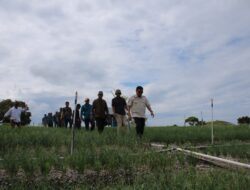 Wamentan RI Dikabarkan Akan Berkunjung Ke Kabupaten Majene