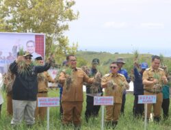 Bupati Majene AST Sebut Kehadiran Wamentan RI Membawah Dampak Positif Bagi Petani