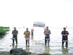 Bupati AST Mengikuti Penanaman Mangrove Serentak Se-Indonesia