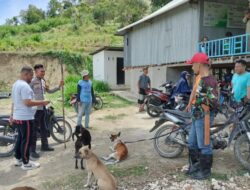 Cegah Gagal Panen, Warga Desa Pemboborang Galakkan berburu Babi hutan