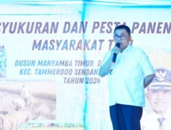 Hadiri Pesta Panen, Bupati Majene Disambut Ratusan Warga Dengan Ritual Adat