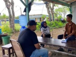 Perumda Aneka Usaha Majene Lakukan Survey Budidaya Udang Vaname di Kabupaten Barru