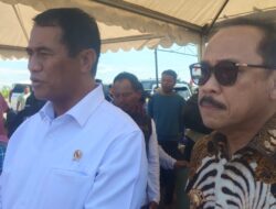 Amran Mentri Pertanian Canangkan Majene Jadi “Kabupaten Bawang” di Sulawesi Barat, Pasok Kawasan Timur Indonesia