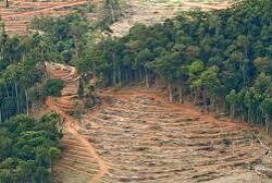 Tambang PT Cadas di Majene dan Ancaman Masyarakat Pamboang