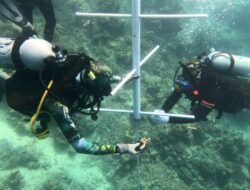 POSASIQ Marine Conservation Kawal Pembibitan Terumbu Karang Dosen Unsulbar di Majen