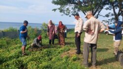 Wabup Majene Pimpin Kerja Bakti dan Penanaman Pohon Serentak Peringati Hari Lingkungan Hidup 2026