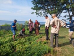 Wabup Majene Pimpin Kerja Bakti dan Penanaman Pohon Serentak Peringati Hari Lingkungan Hidup 2026